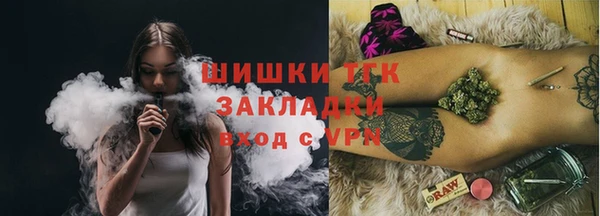 твердый Богородицк