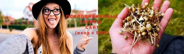 твердый Богородицк