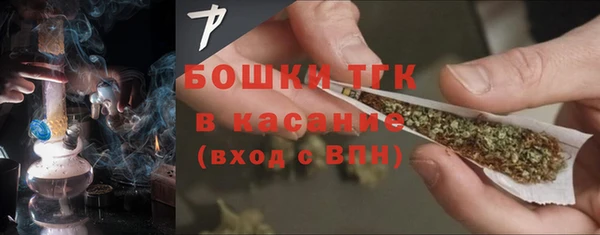 твердый Богородицк