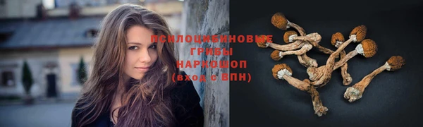 твердый Богородицк
