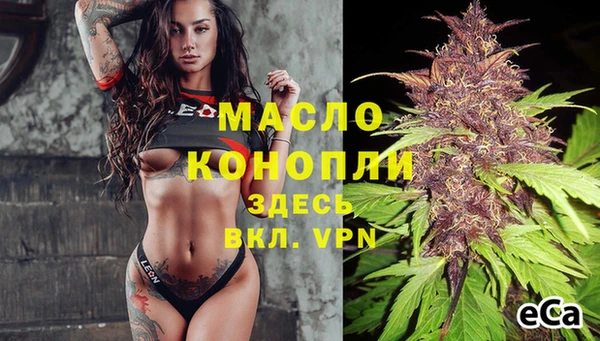 твердый Богородицк