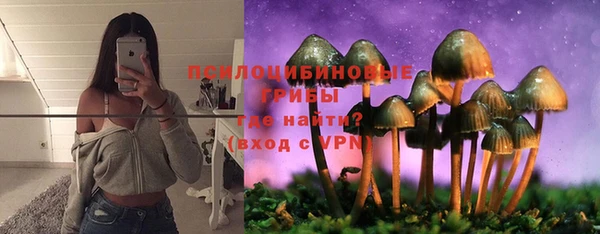 a pvp Богданович