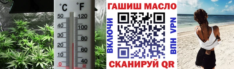 Купить где  Приморск  ТГК гашишное масло 