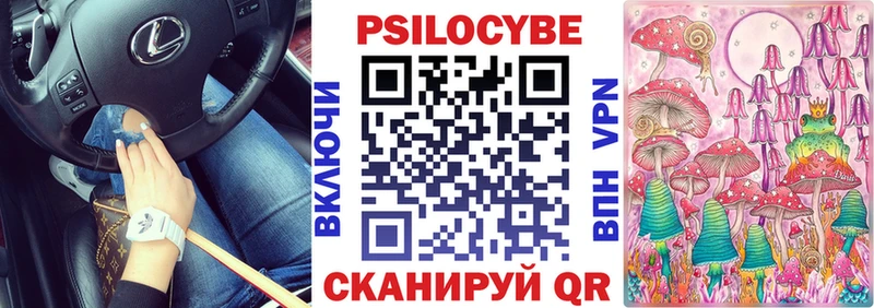 Галлюциногенные грибы прущие грибы  Купить закладки  Приморск 